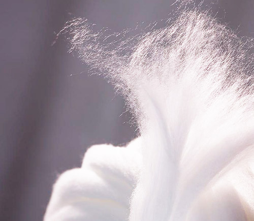 Tencel® Materials