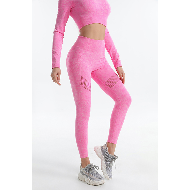 Seamless Pink Marl Leggings with Longsleeve Crop Top Sets TW2121 - twinall