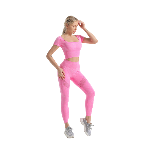 Womens Seamless Pink Yoga Set Short Sleeve Leggings And Top For
